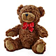 Adorable Plush Bear – BERMAN'S FLOWERS, Kingsburg CA