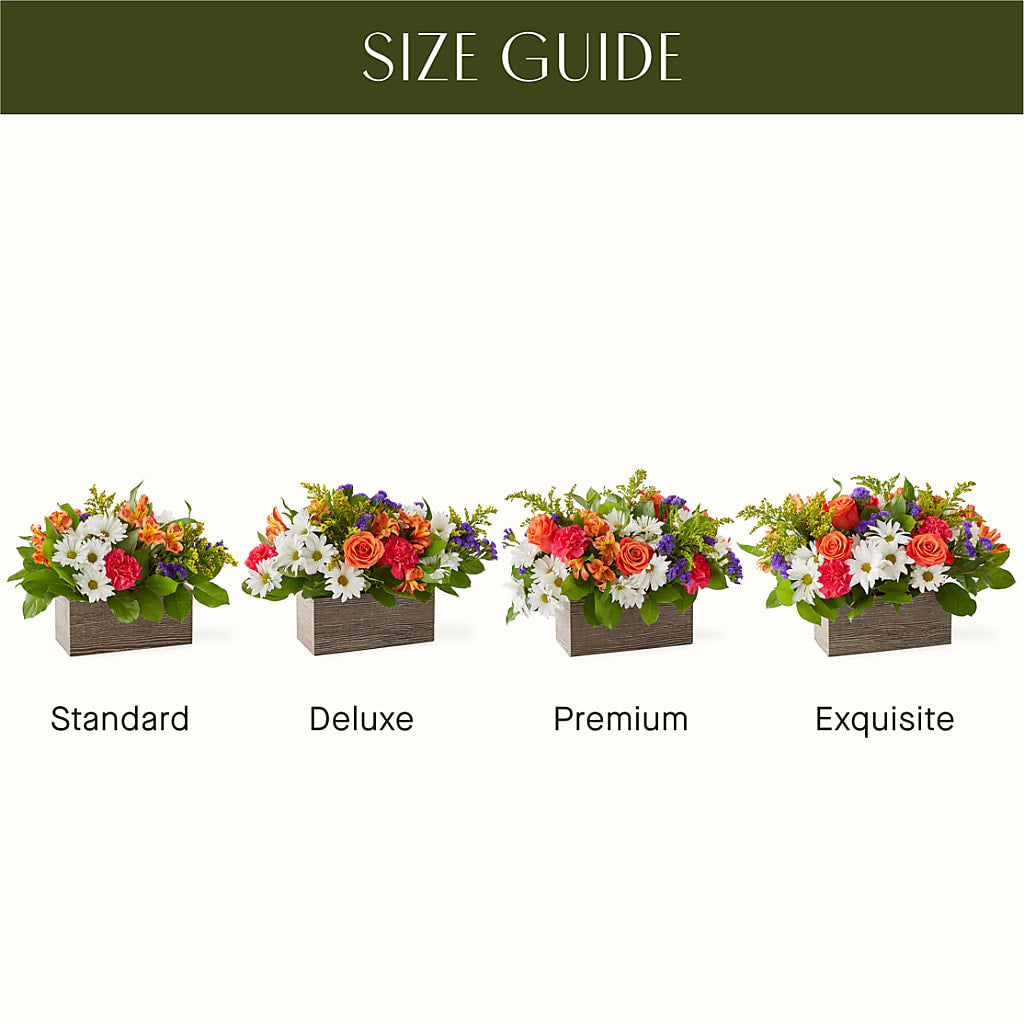 Oopsie Daisy Box Bouquet – BERMAN'S FLOWERS, Kingsburg CA