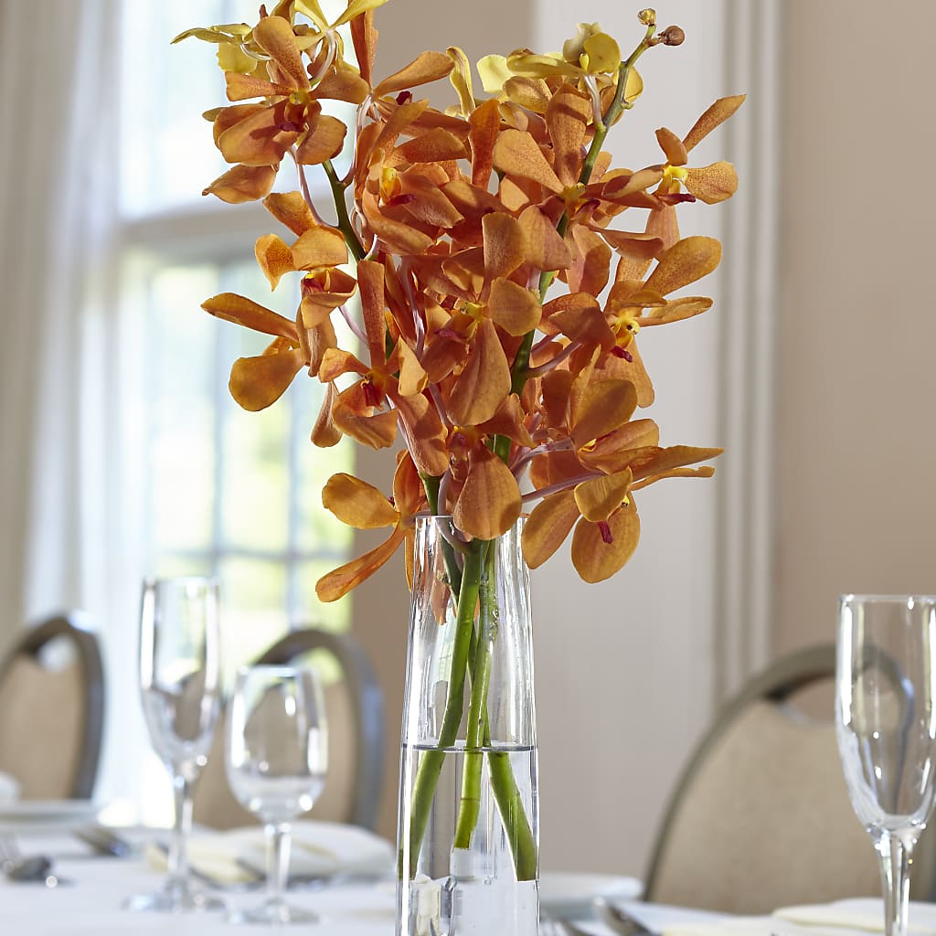 Orange Mokara Bud Vase – BERMAN'S FLOWERS, Kingsburg CA