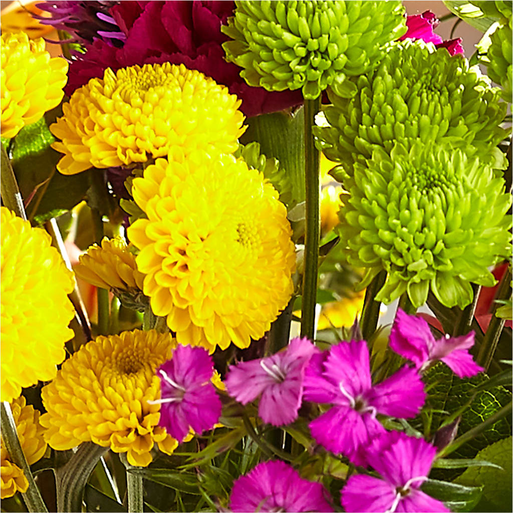 Bold & Bright – A Florist Original – BERMAN'S FLOWERS, Kingsburg CA