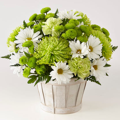 Lucky Charm Basket (Standard) – BERMAN'S FLOWERS, Kingsburg CA