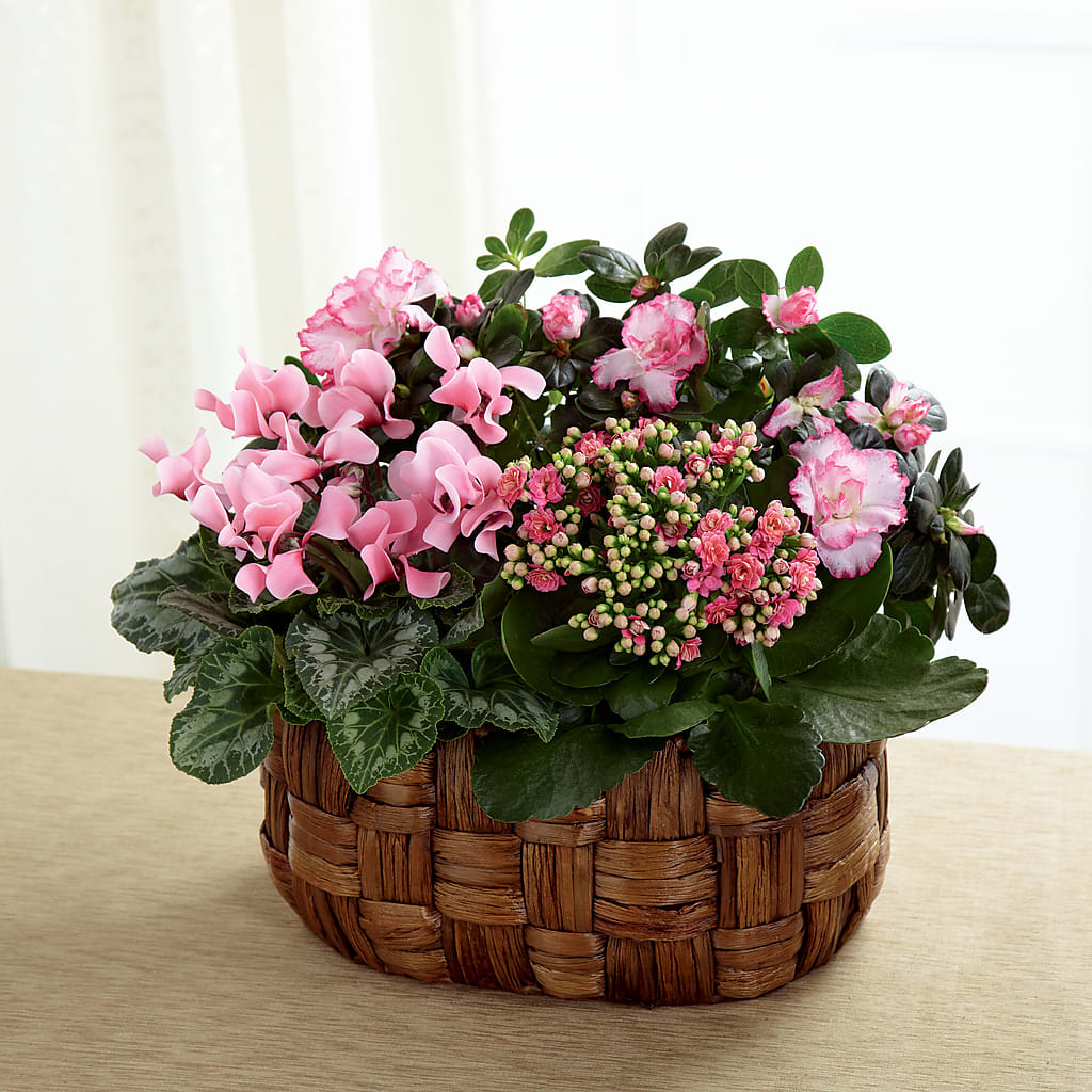 Pink Assortment – BERMAN'S FLOWERS, Kingsburg CA