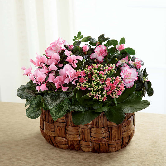 Pink Assortment – BERMAN'S FLOWERS, Kingsburg CA