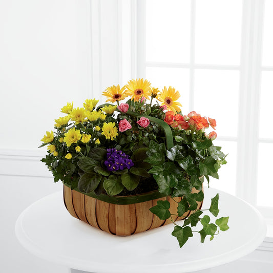 Gentle Blossoms Basket – BERMAN'S FLOWERS, Kingsburg CA