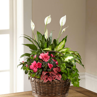 Dream in Pink Dishgarden – BERMAN'S FLOWERS, Kingsburg CA