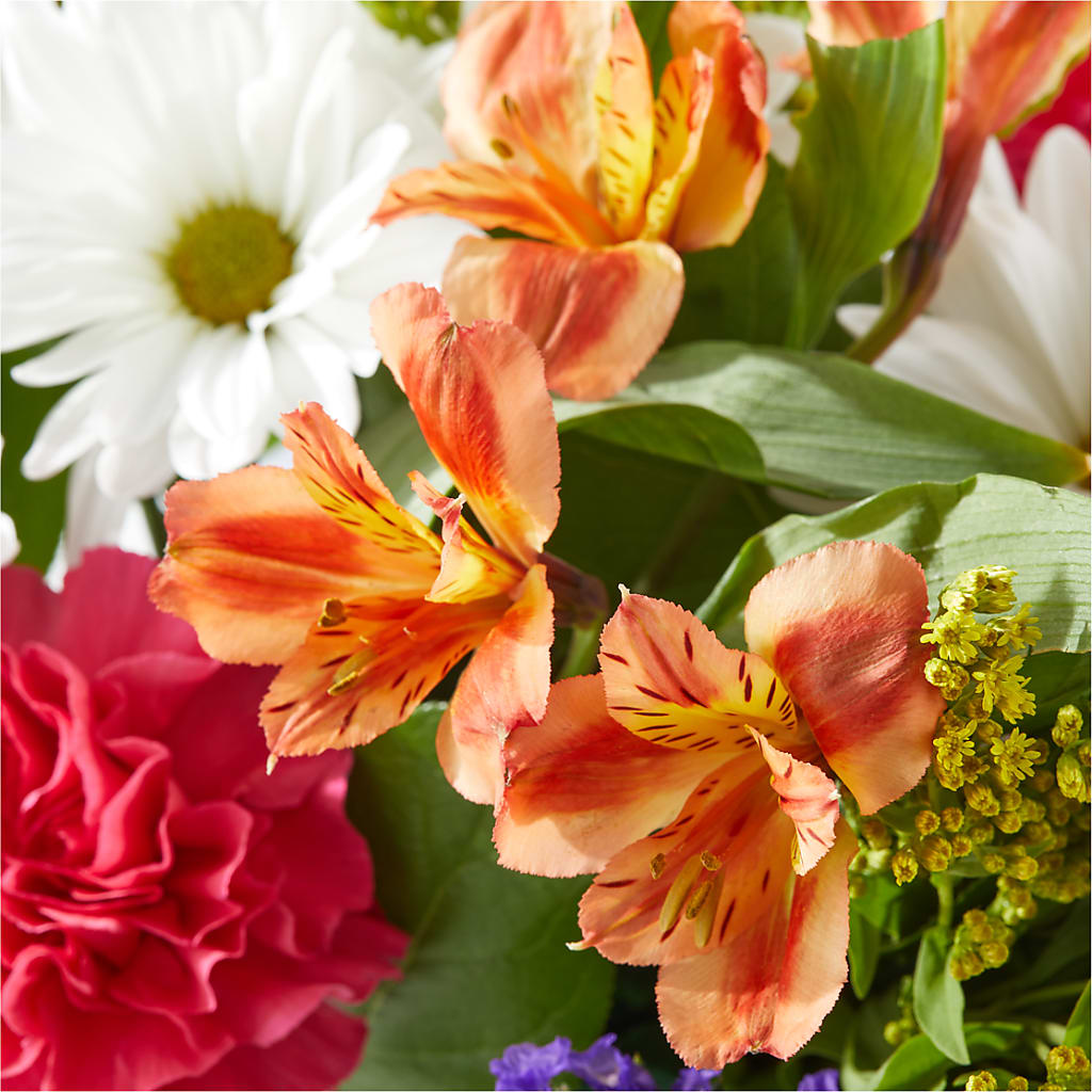 Oopsie Daisy Box Bouquet – BERMAN'S FLOWERS, Kingsburg CA