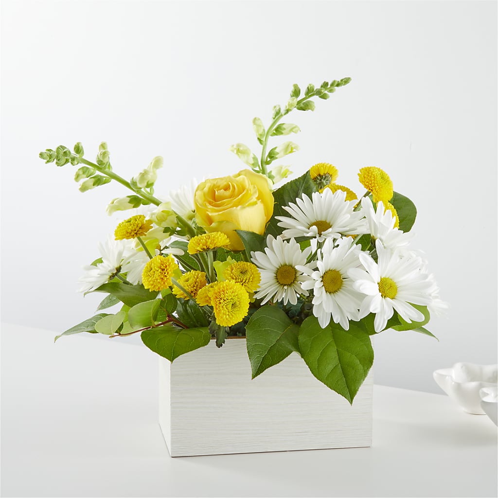 Sun Salutation Box Bouquet – BERMAN'S FLOWERS, Kingsburg CA