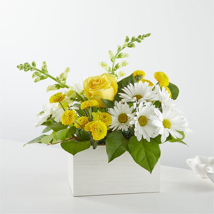 Sun Salutation Box Bouquet – BERMAN'S FLOWERS, Kingsburg CA