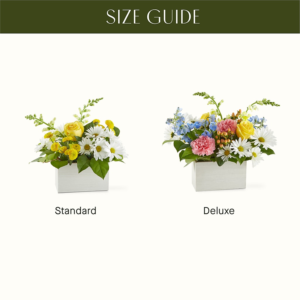 Sun Salutation Box Bouquet – BERMAN'S FLOWERS, Kingsburg CA