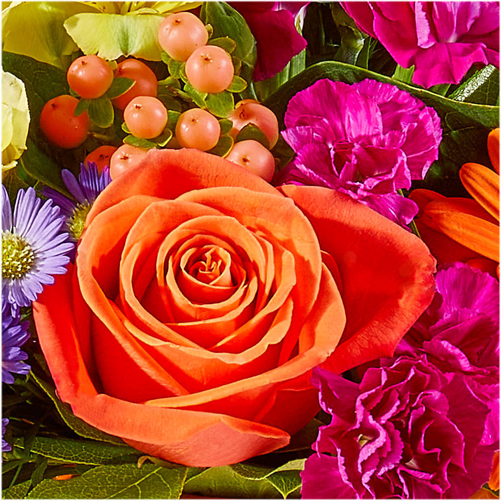 Tricks & Treats Pumpkin – BERMAN'S FLOWERS, Kingsburg CA