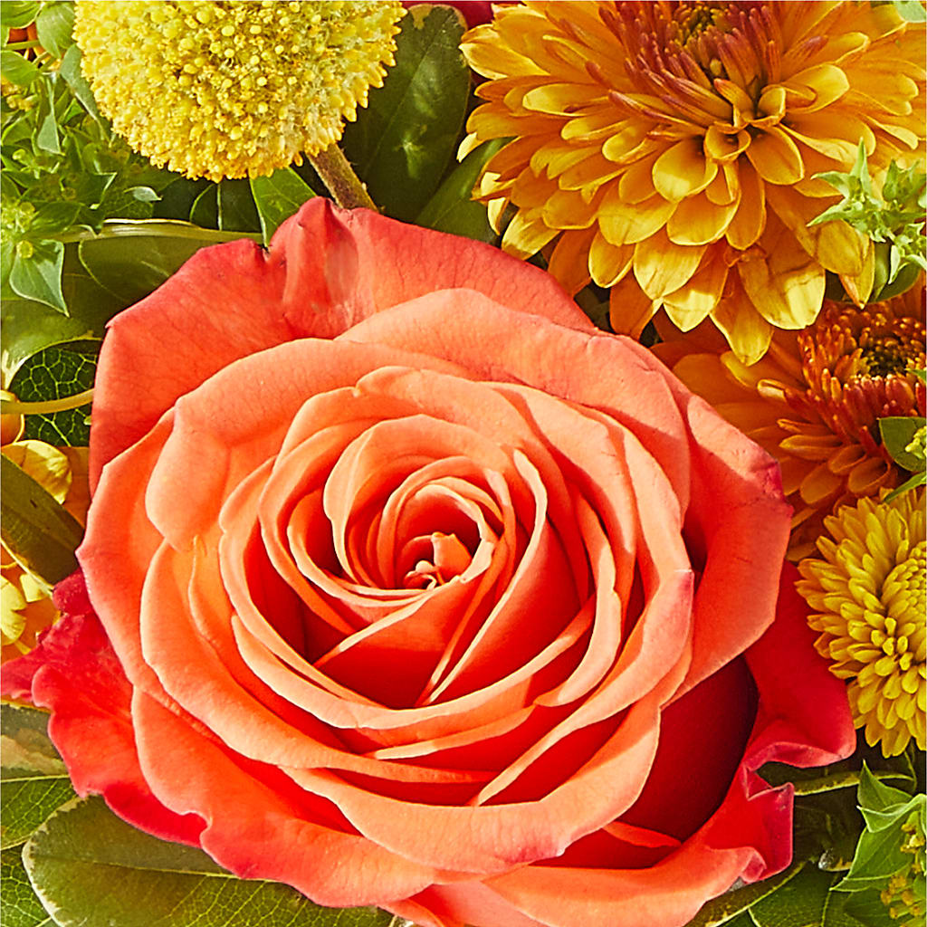 Gourdgeous Pumpkin – BERMAN'S FLOWERS, Kingsburg CA