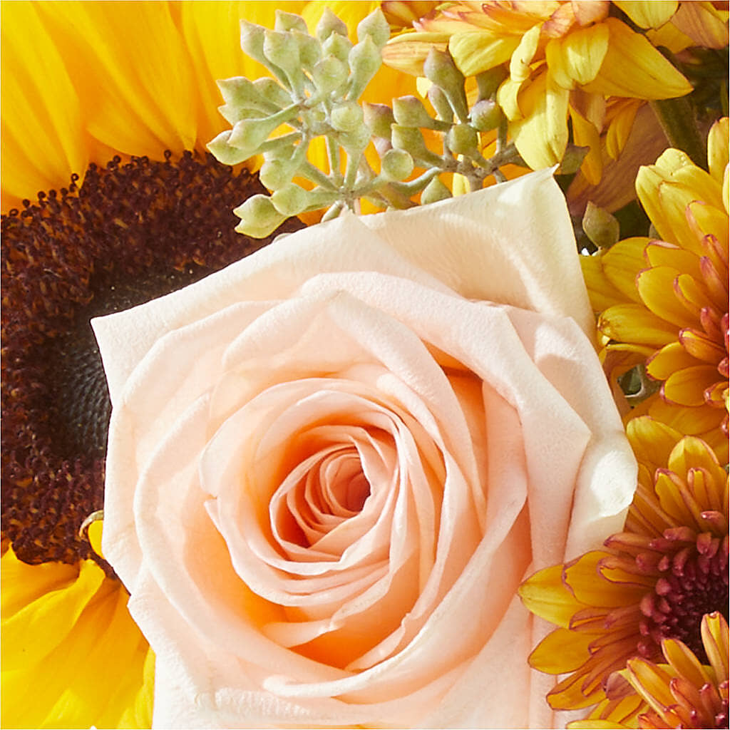 Pumpkin to Talk About Bouquet – BERMAN'S FLOWERS, Kingsburg CA