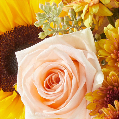 Pumpkin to Talk About Bouquet – BERMAN'S FLOWERS, Kingsburg CA