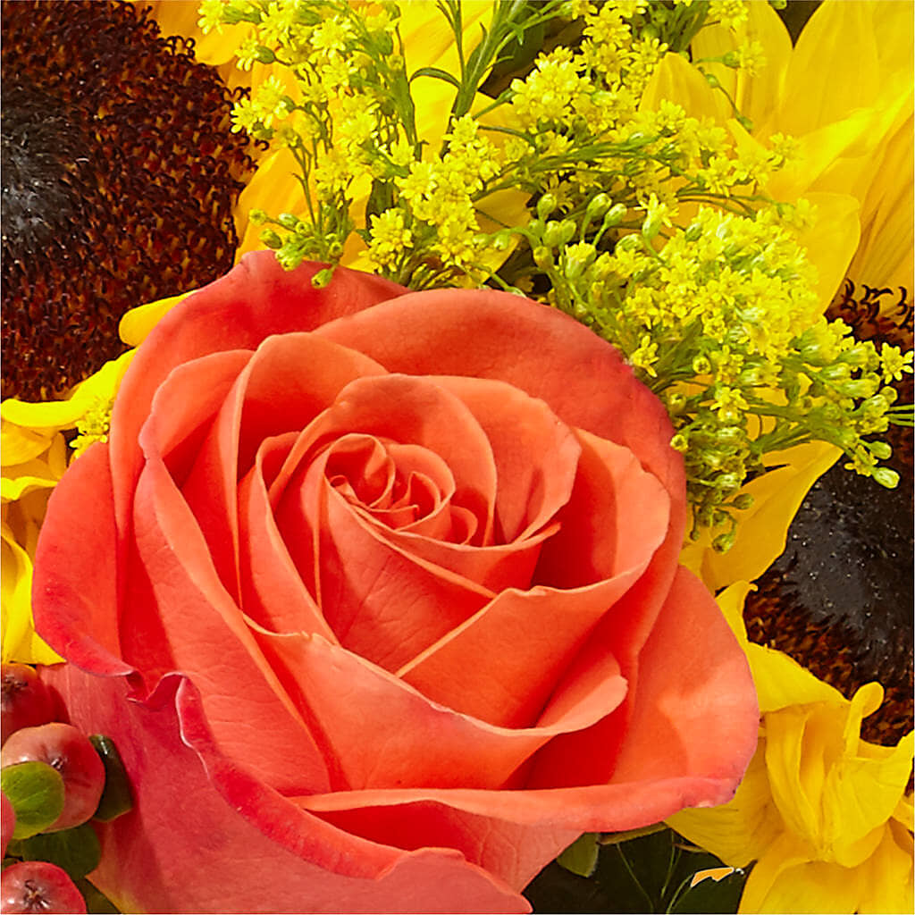 Pick of the Patch Pumpkin Bouquet – BERMAN'S FLOWERS, Kingsburg CA