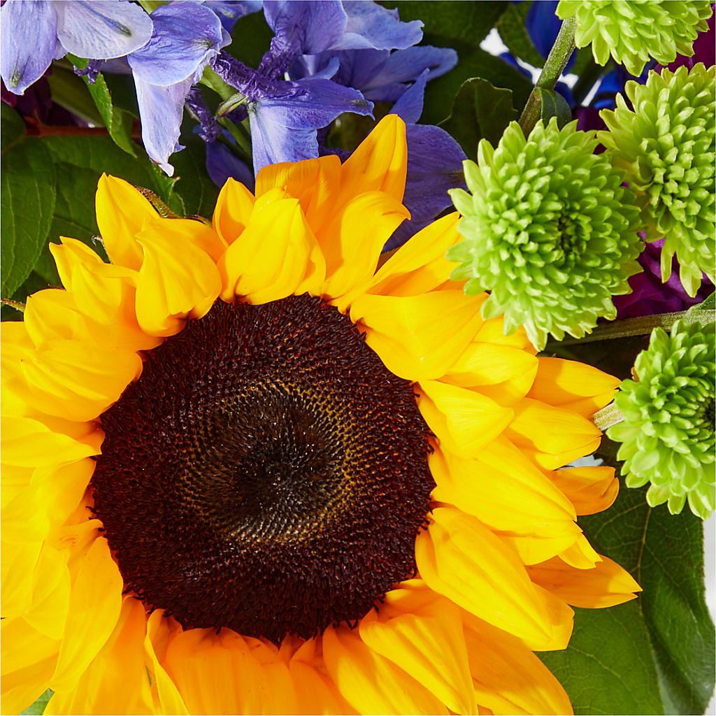 Catching Rays Bouquet – BERMAN'S FLOWERS, Kingsburg CA