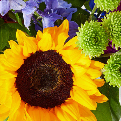 Catching Rays Bouquet – BERMAN'S FLOWERS, Kingsburg CA