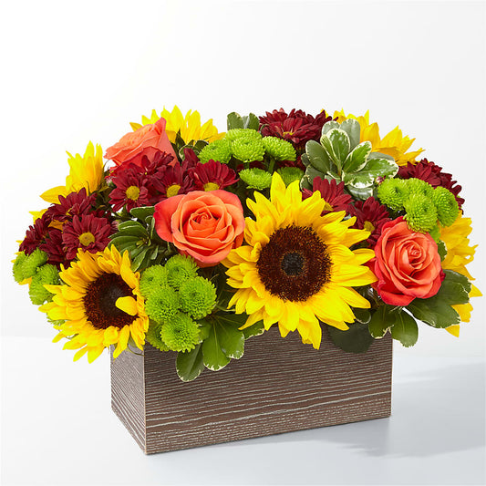 Happy Harvest Garden – BERMAN'S FLOWERS, Kingsburg CA