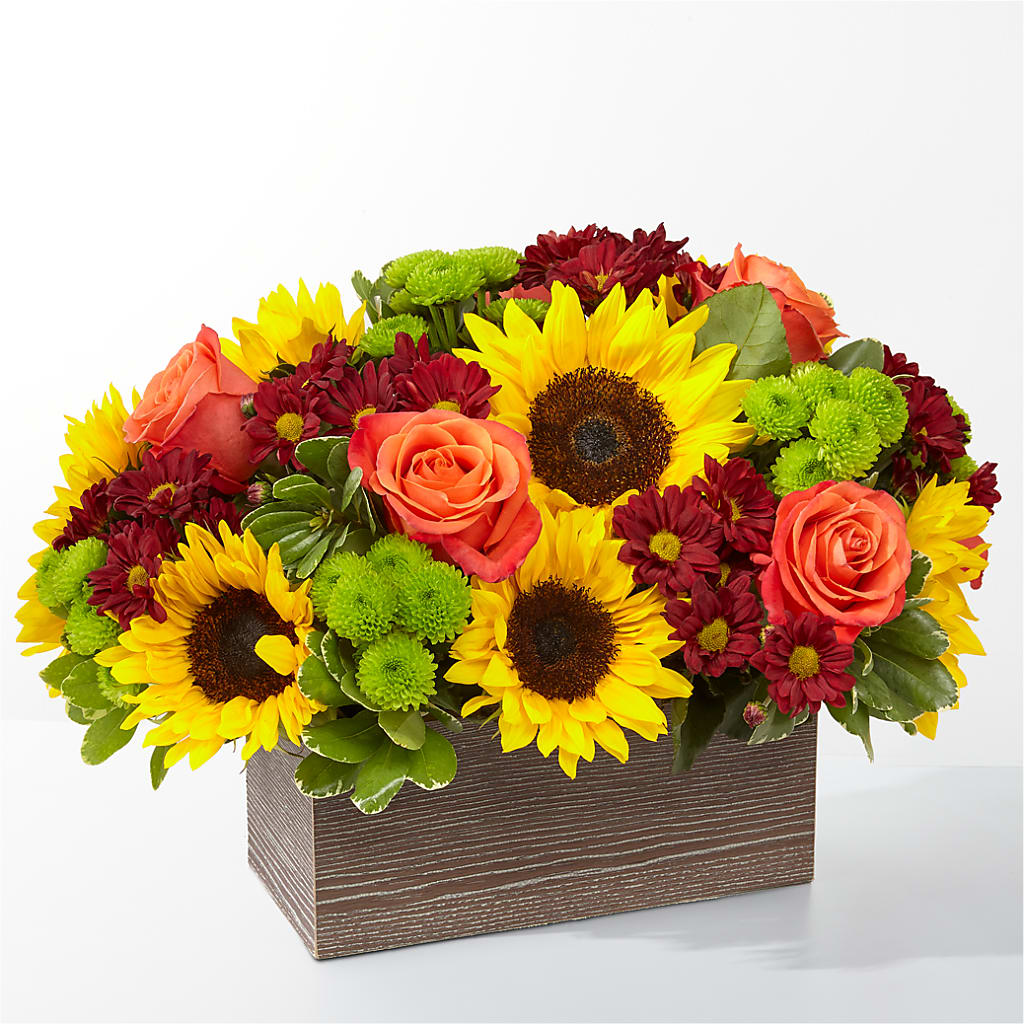 Happy Harvest Garden – BERMAN'S FLOWERS, Kingsburg CA