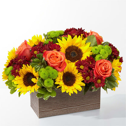 Happy Harvest Garden – BERMAN'S FLOWERS, Kingsburg CA