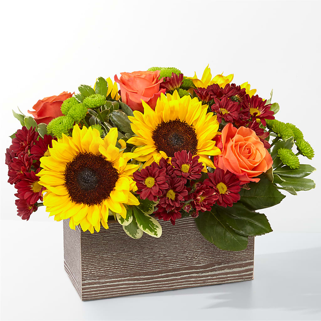 Happy Harvest Garden – BERMAN'S FLOWERS, Kingsburg CA