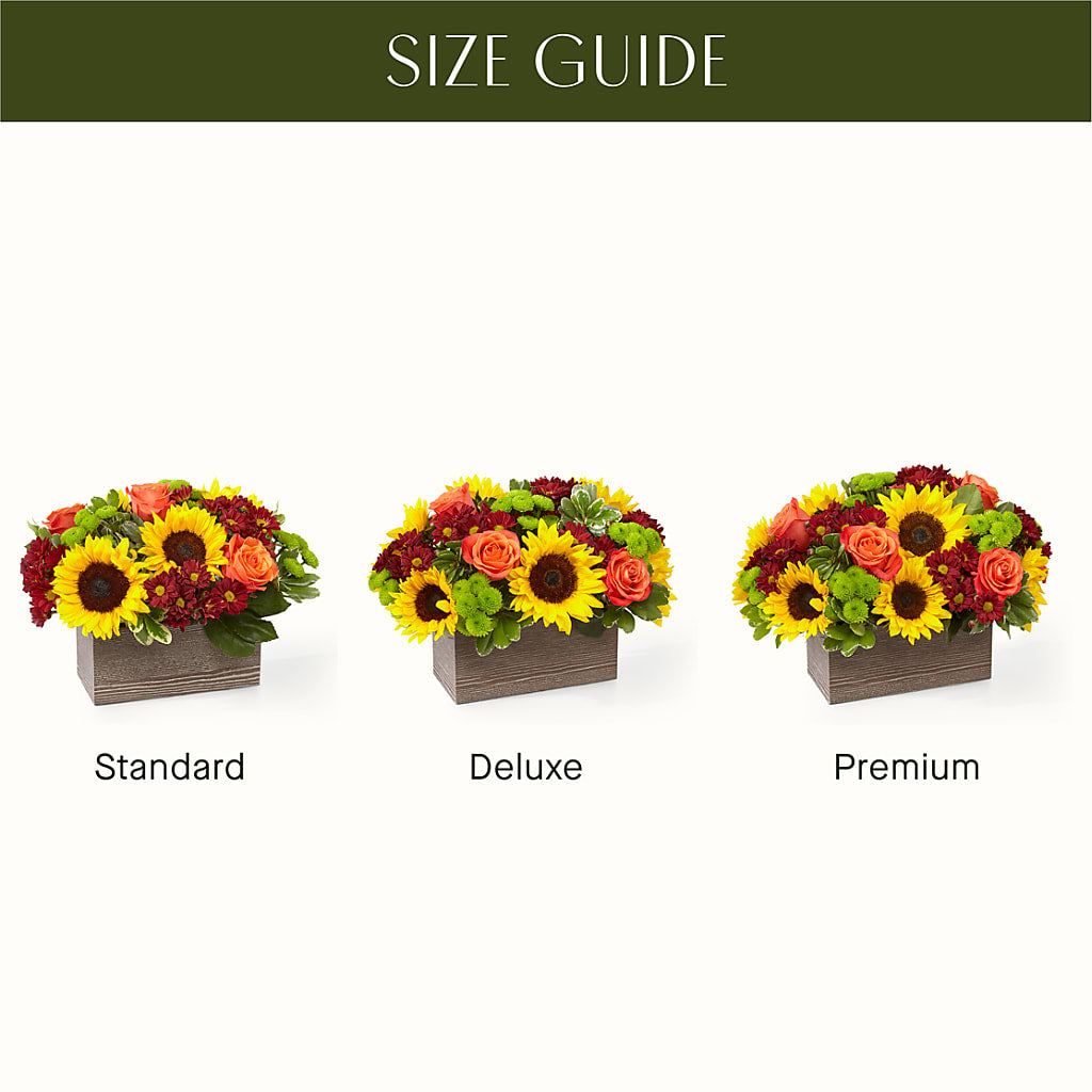 Happy Harvest Garden – BERMAN'S FLOWERS, Kingsburg CA