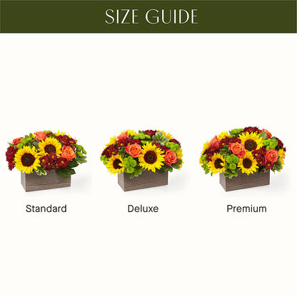 Happy Harvest Garden – BERMAN'S FLOWERS, Kingsburg CA