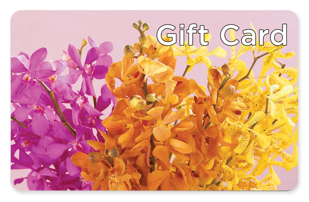 Gift Card – BERMAN'S FLOWERS, Kingsburg CA