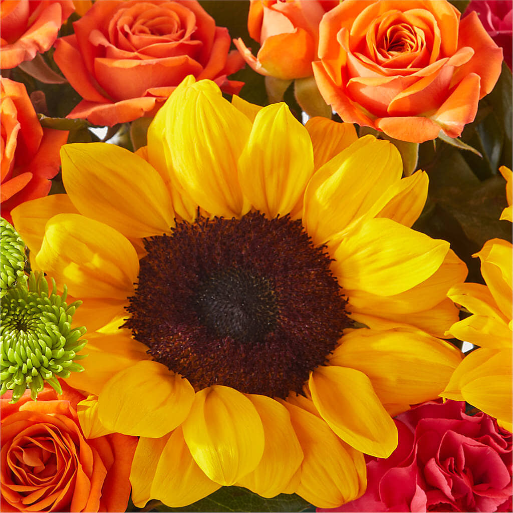 Sun-drenched Blooms Box Bouquet – BERMAN'S FLOWERS, Kingsburg CA