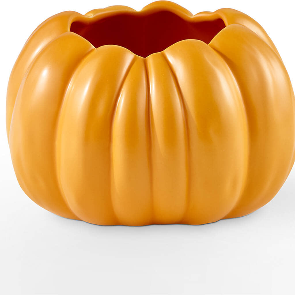 Pick of the Patch Pumpkin Bouquet – BERMAN'S FLOWERS, Kingsburg CA