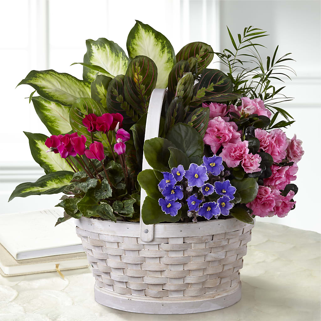Peaceful Garden Planter – BERMAN'S FLOWERS, Kingsburg CA