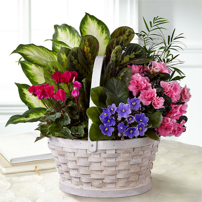 Peaceful Garden Planter – BERMAN'S FLOWERS, Kingsburg CA