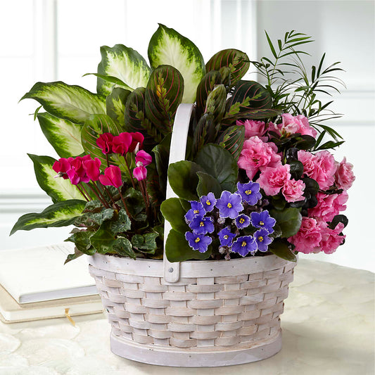 Peaceful Garden Planter – BERMAN'S FLOWERS, Kingsburg CA
