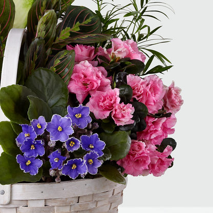 Peaceful Garden Planter – BERMAN'S FLOWERS, Kingsburg CA