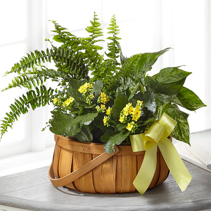 Always Dear Dishgarden – BERMAN'S FLOWERS, Kingsburg CA
