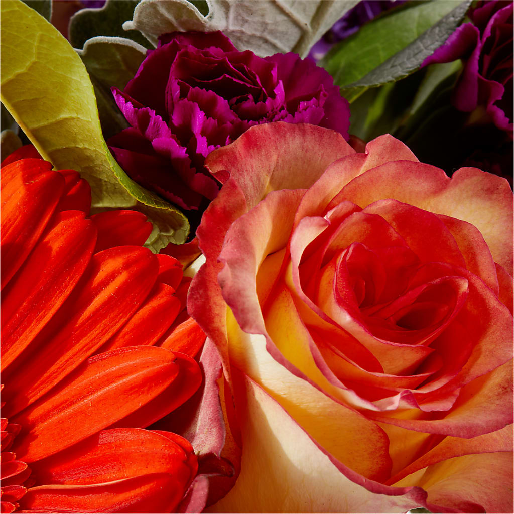 Sangria Bouquet – BERMAN'S FLOWERS, Kingsburg CA