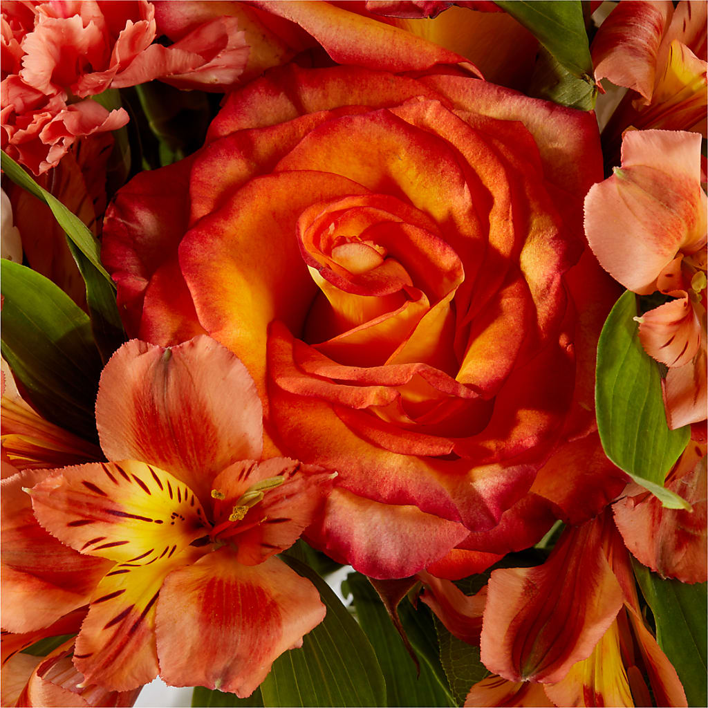 Apricot Glow Bouquet – BERMAN'S FLOWERS, Kingsburg CA