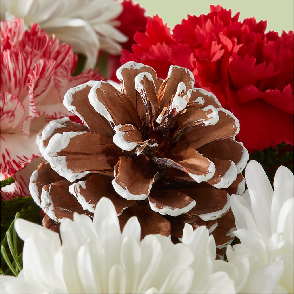 Candy Cane Lane Bouquet – BERMAN'S FLOWERS, Kingsburg CA