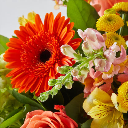 Autumn Sunshine Bouquet – BERMAN'S FLOWERS, Kingsburg CA