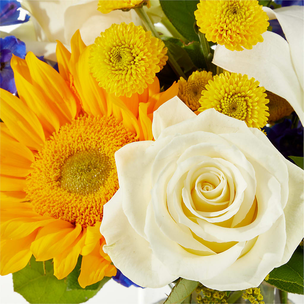 Stargazing Bouquet – BERMAN'S FLOWERS, Kingsburg CA