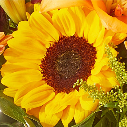 Seasons Change Bouquet – BERMAN'S FLOWERS, Kingsburg CA