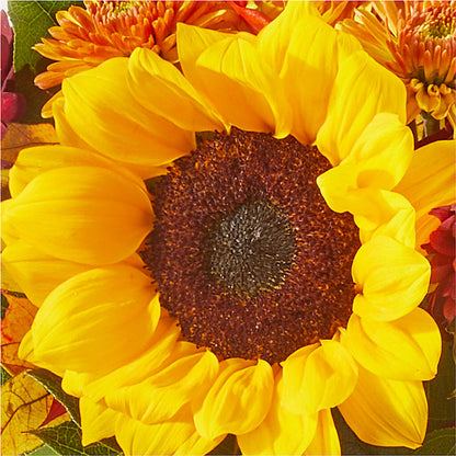 Sunny Side Bouquet – BERMAN'S FLOWERS, Kingsburg CA