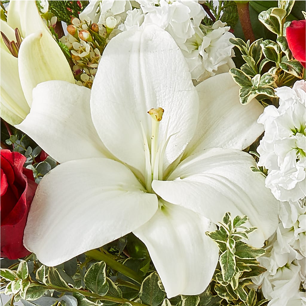 Twinkle Lights Bouquet – BERMAN'S FLOWERS, Kingsburg CA