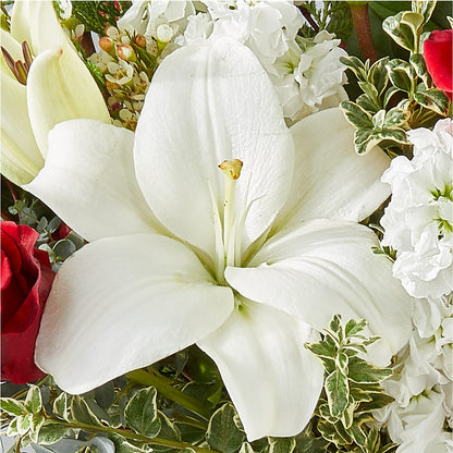Twinkle Lights Bouquet – BERMAN'S FLOWERS, Kingsburg CA