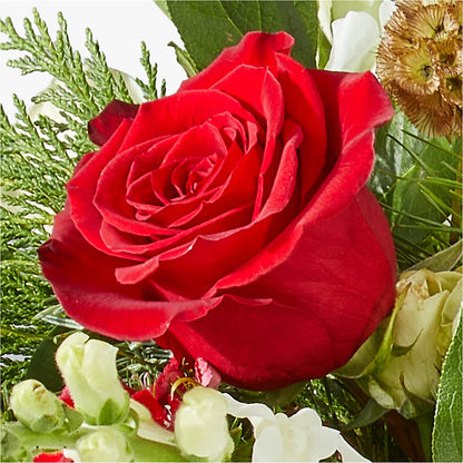 Deck the Halls Bouquet – BERMAN'S FLOWERS, Kingsburg CA