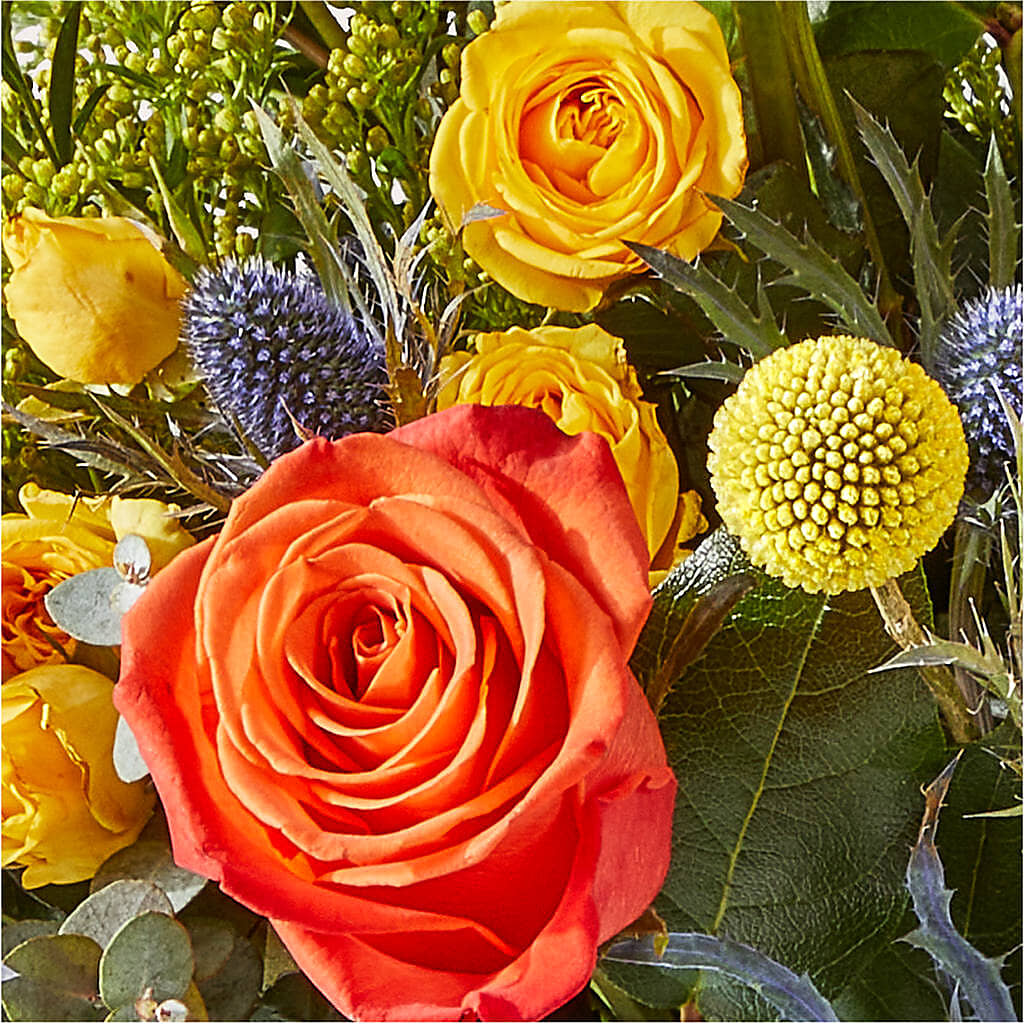 Disco Bouquet – BERMAN'S FLOWERS, Kingsburg CA