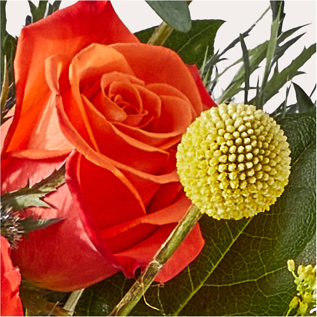 Disco Bouquet – BERMAN'S FLOWERS, Kingsburg CA