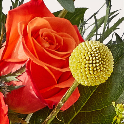 Disco Bouquet – BERMAN'S FLOWERS, Kingsburg CA