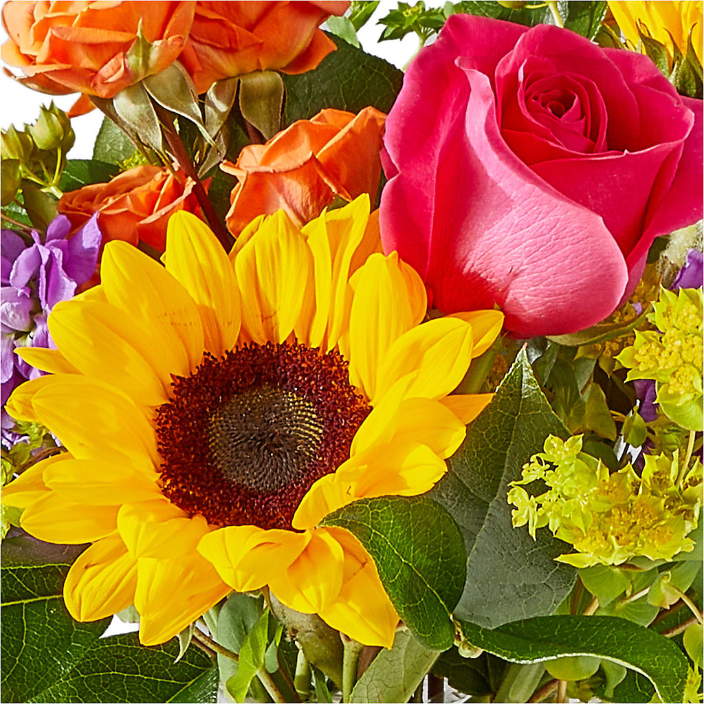 Vibrant Greetings Bouquet – BERMAN'S FLOWERS, Kingsburg CA
