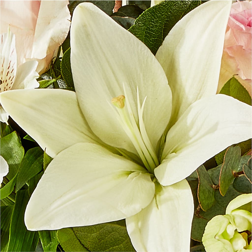 Ballet Slippers Bouquet – BERMAN'S FLOWERS, Kingsburg CA