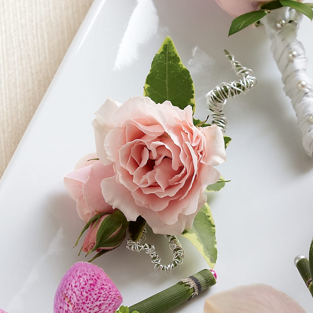 Pink Spray Rose Boutonniere – BERMAN'S FLOWERS, Kingsburg CA